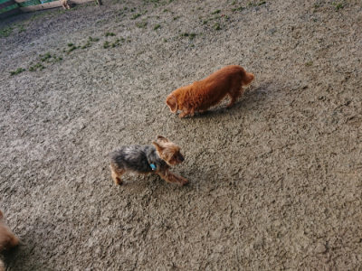 f:id:roukenhome-ann:20190124075158j:plain
