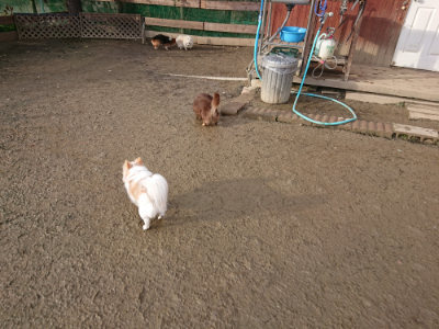 f:id:roukenhome-ann:20190124075453j:plain