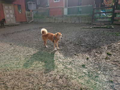 f:id:roukenhome-ann:20190124075515j:plain