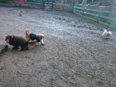 f:id:roukenhome-ann:20190124075520j:plain