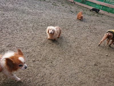 f:id:roukenhome-ann:20190124075627j:plain
