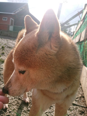 f:id:roukenhome-ann:20190124075632j:plain