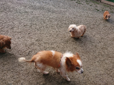 f:id:roukenhome-ann:20190124075652j:plain