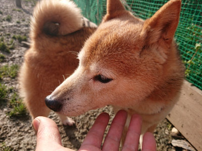 f:id:roukenhome-ann:20190124075657j:plain