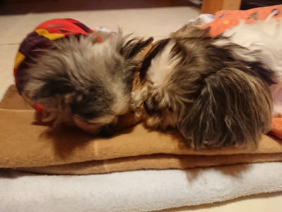 f:id:roukenhome-ann:20190124075714j:plain