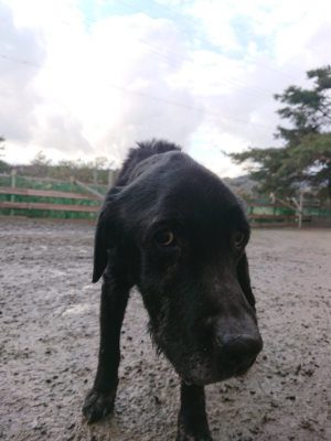 f:id:roukenhome-ann:20190124075908j:plain