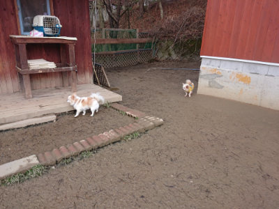 f:id:roukenhome-ann:20190124124120j:plain