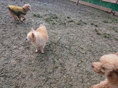 f:id:roukenhome-ann:20190124124231j:plain