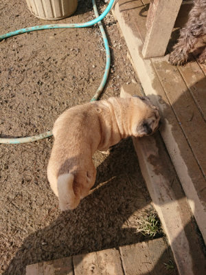f:id:roukenhome-ann:20190124124237j:plain