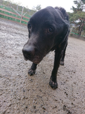 f:id:roukenhome-ann:20190124124243j:plain
