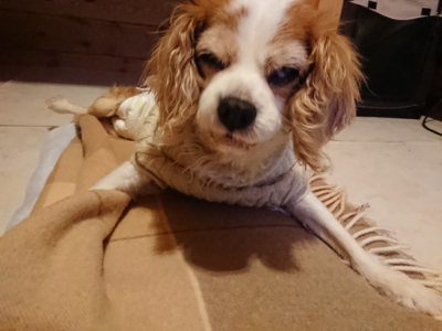 f:id:roukenhome-ann:20190124124334j:plain