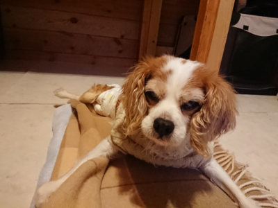 f:id:roukenhome-ann:20190124124338j:plain
