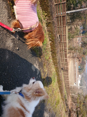 f:id:roukenhome-ann:20190124124401j:plain
