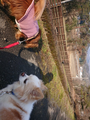 f:id:roukenhome-ann:20190124124407j:plain