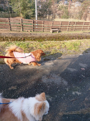f:id:roukenhome-ann:20190124124413j:plain
