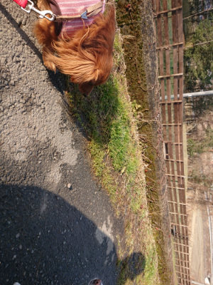 f:id:roukenhome-ann:20190124124442j:plain