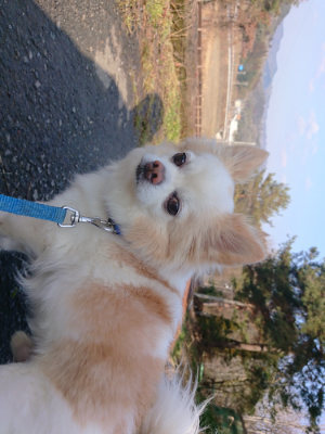 f:id:roukenhome-ann:20190124124457j:plain