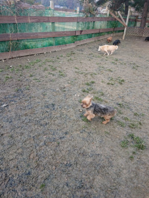 f:id:roukenhome-ann:20190124124502j:plain