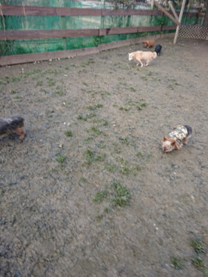 f:id:roukenhome-ann:20190124124509j:plain