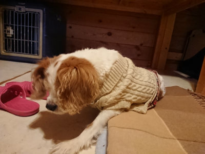 f:id:roukenhome-ann:20190124124525j:plain