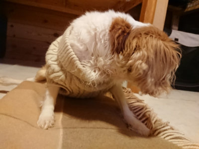 f:id:roukenhome-ann:20190124124541j:plain
