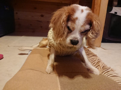 f:id:roukenhome-ann:20190124124617j:plain