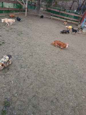 f:id:roukenhome-ann:20190124124622j:plain