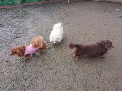 f:id:roukenhome-ann:20190124124846j:plain