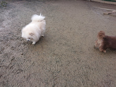 f:id:roukenhome-ann:20190124124856j:plain