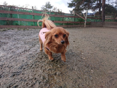 f:id:roukenhome-ann:20190124124937j:plain