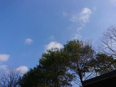 f:id:roukenhome-ann:20190124124951j:plain
