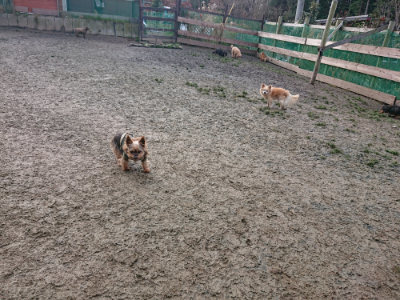 f:id:roukenhome-ann:20190124124957j:plain