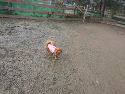 f:id:roukenhome-ann:20190124125002j:plain