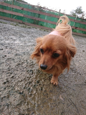 f:id:roukenhome-ann:20190124125008j:plain
