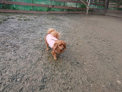 f:id:roukenhome-ann:20190124125029j:plain