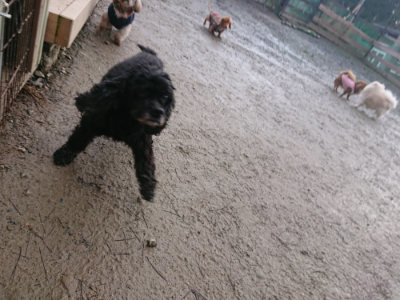 f:id:roukenhome-ann:20190124125115j:plain