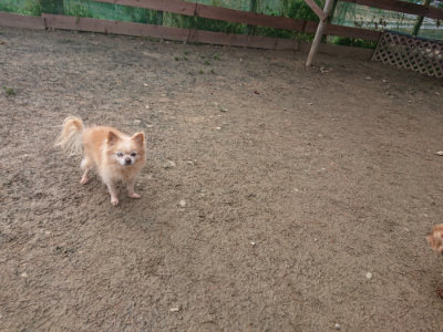 f:id:roukenhome-ann:20190124194704j:plain
