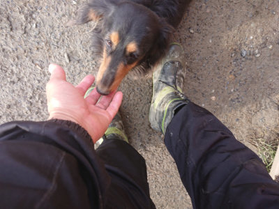 f:id:roukenhome-ann:20190124194741j:plain
