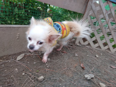 f:id:roukenhome-ann:20190124194831j:plain