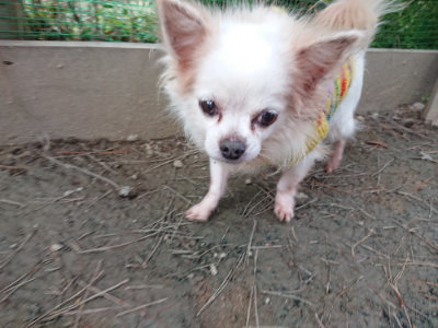 f:id:roukenhome-ann:20190124194851j:plain