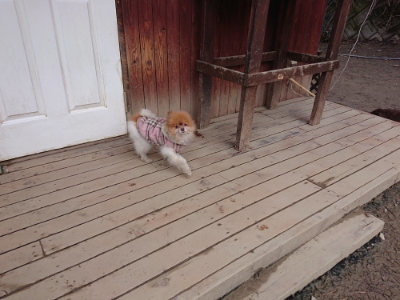 f:id:roukenhome-ann:20190124194912j:plain