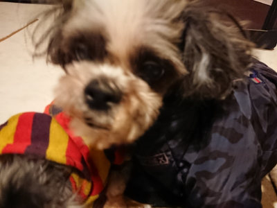 f:id:roukenhome-ann:20190124194946j:plain