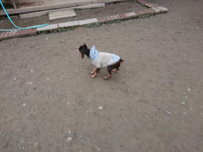 f:id:roukenhome-ann:20190124195015j:plain