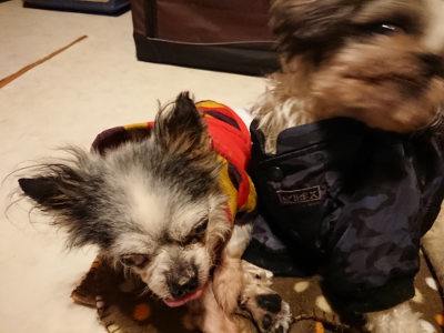 f:id:roukenhome-ann:20190124195052j:plain