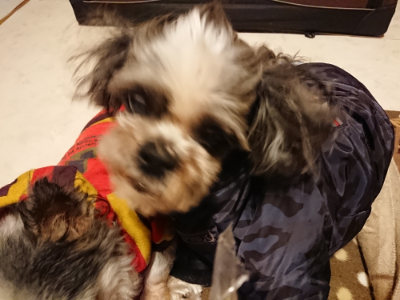 f:id:roukenhome-ann:20190124195058j:plain