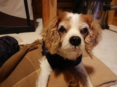 f:id:roukenhome-ann:20190124195118j:plain