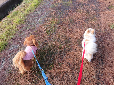 f:id:roukenhome-ann:20190124195211j:plain