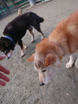 f:id:roukenhome-ann:20190124195853j:plain