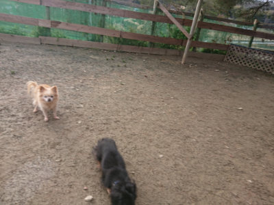 f:id:roukenhome-ann:20190124195906j:plain