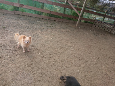 f:id:roukenhome-ann:20190124195913j:plain